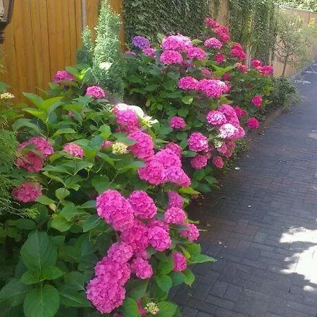 호텔 Refrather Hof 베르기슈글라트바흐