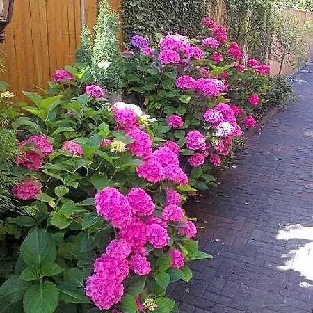 Refrather Hof מלון 3*