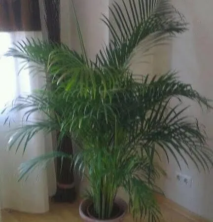 Refrather Hof Hotell