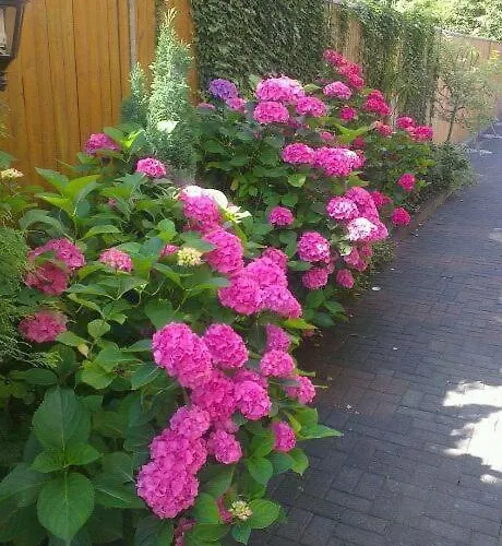 Hotel Refrather Hof Bergisch Gladbach