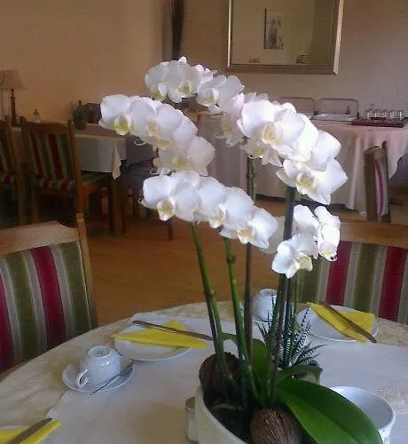 Hotell Refrather Hof 3*