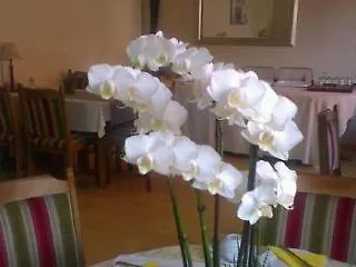 Refrather Hof Hotel 3*